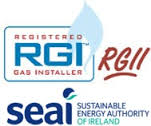 RGI Gas Boiler Service